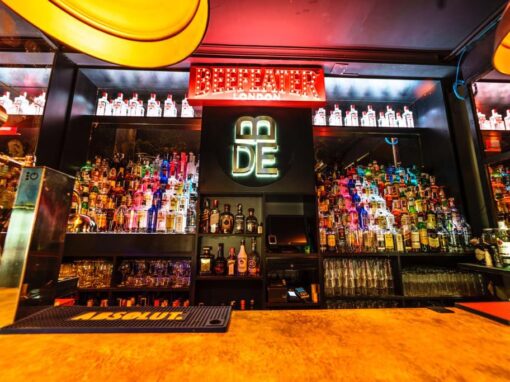 DISCO PUB BODEGUITA DE ENMEDIO